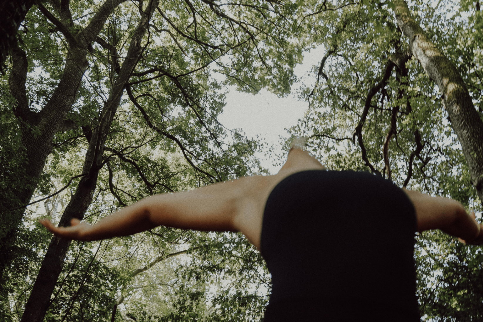 Femme les bras ouverts sous la canopée d'une forêt